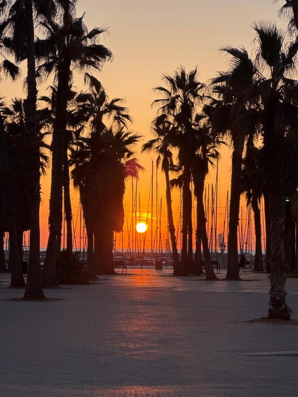 Afternoon coastal scenes and urban life captured across Tel Aviv