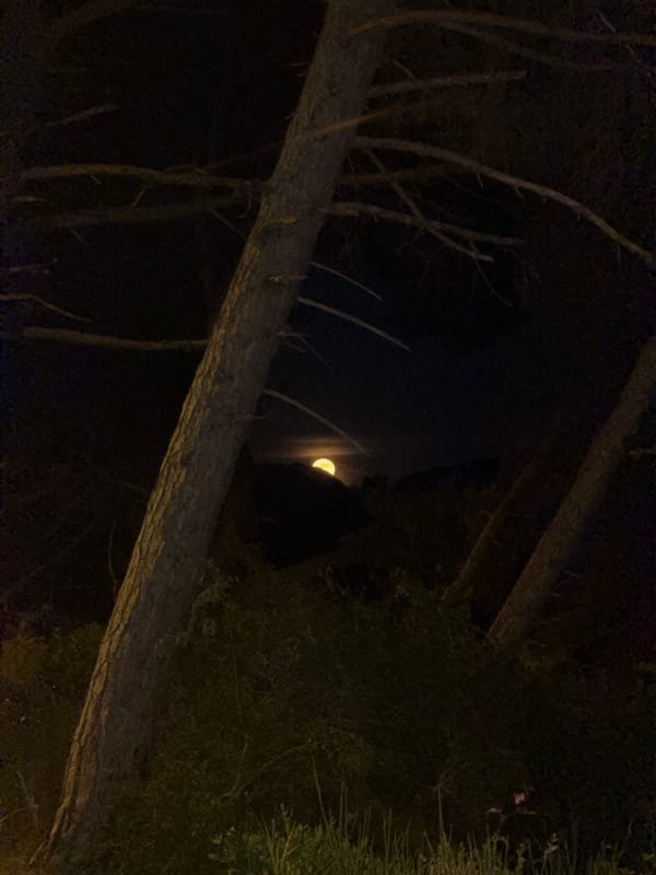 Montenegro moonlight captured across two coastal locations