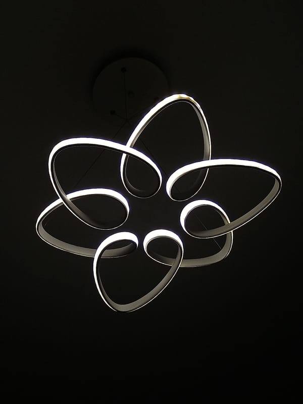 Modern chandelier with floral design documented in Plovdiv, Bulgaria