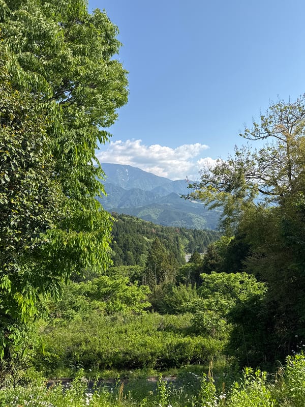 Morning countryside views captured from Nakatsugawa scenic overlook