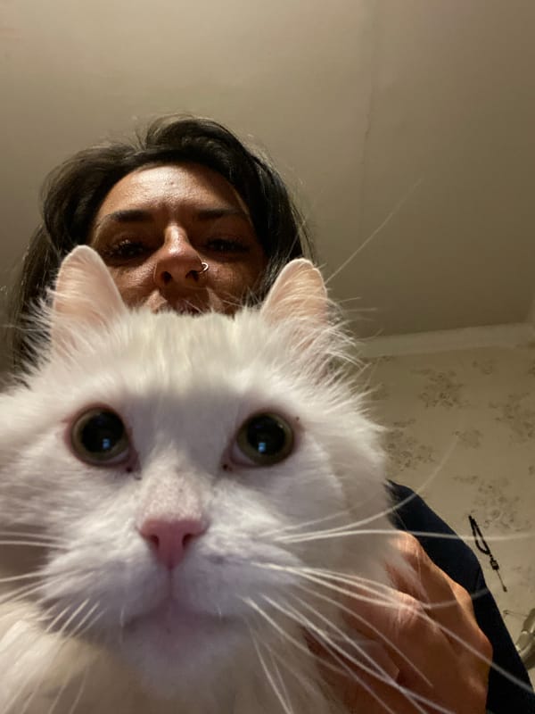Person with white cat photographed in Khimki, Russia