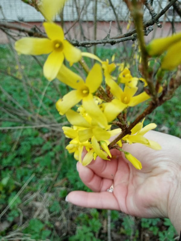 Spring day captured in photos across Elektrostal, Russia