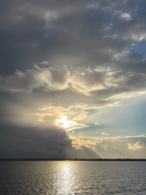 Afternoon river ferry trip with rural shore stops