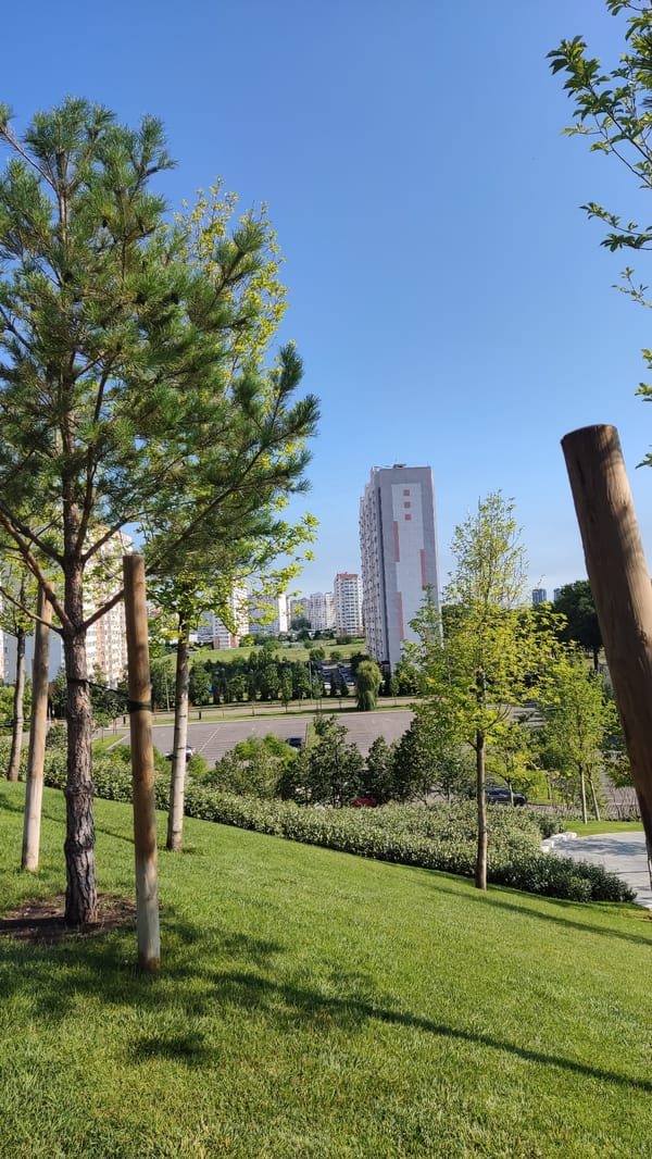 Summer morning activity in a Krasnodar residential park