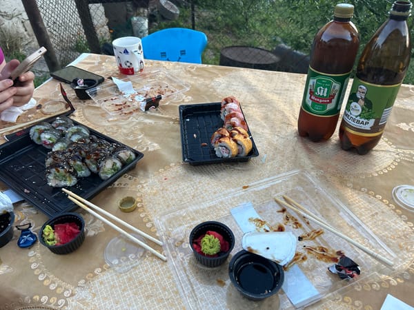 Summer evening picnic in Krasivka with food, beer, and a cat