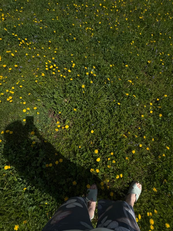 Spring dandelion picking and outdoor meal in rural setting