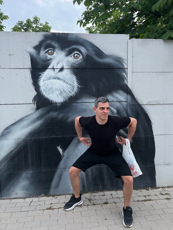 Evening stroll past animal murals on a Sofia street