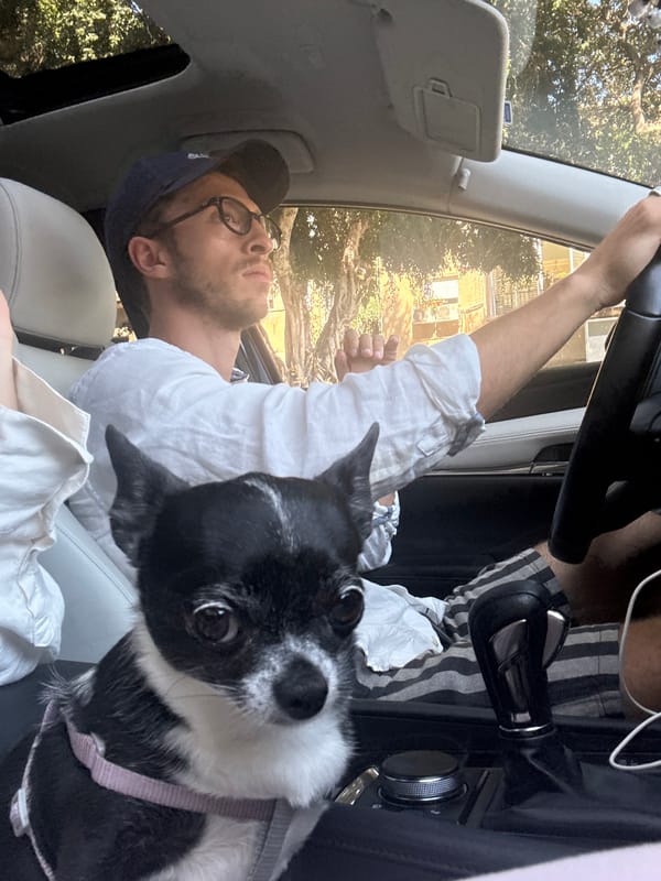 Group with dog spotted in cars around Tel Aviv