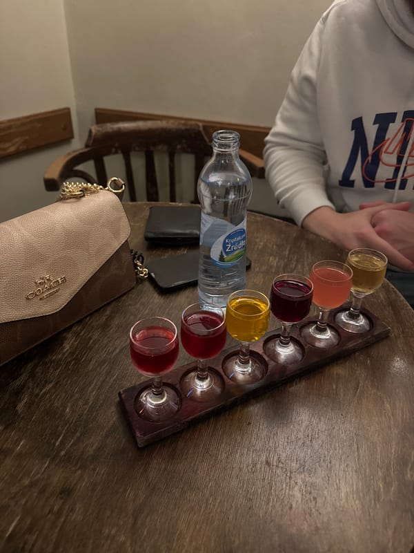 Local businesses photographed in Krakow storefront documentation