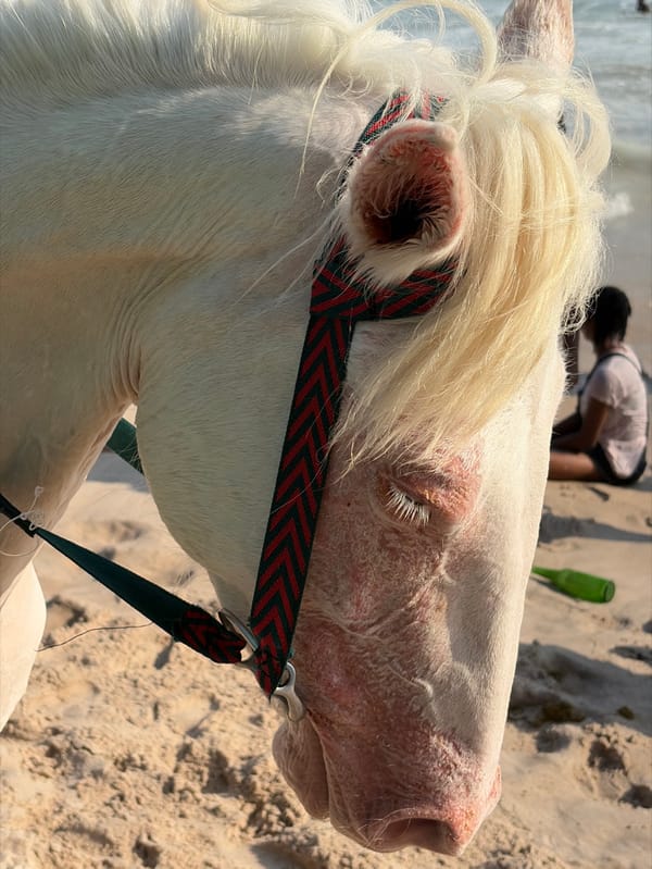 Beach day activities captured across Lagos State coastal areas
