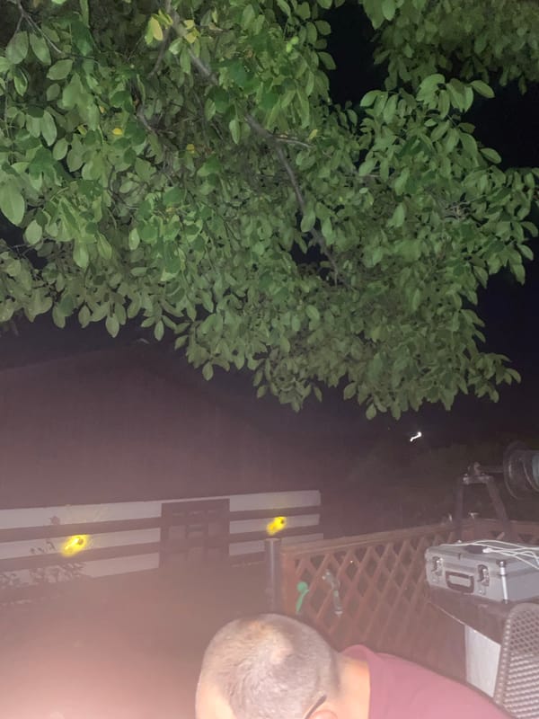 Midsummer evening in a Romanian backyard garden