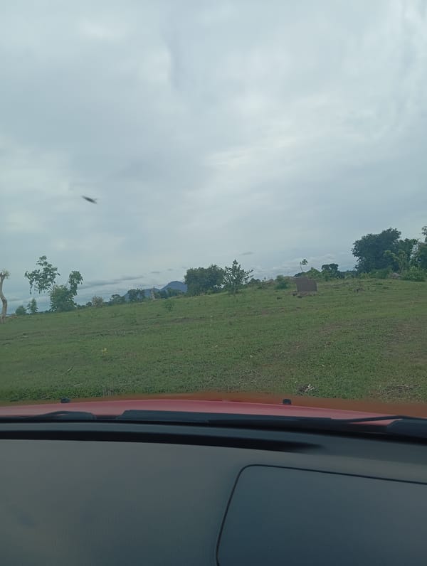 Road trip through Nigerian savanna farmland on an overcast afternoon