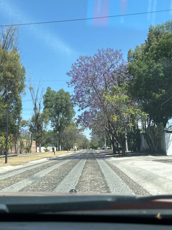 Street view with distinctive pavement captured in Querétaro