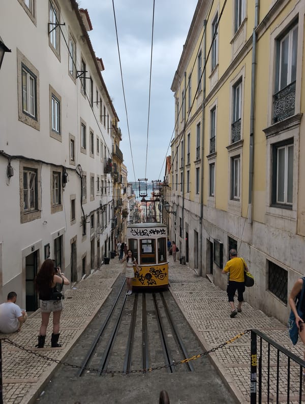 Weekend scenes documented across historic Lisbon neighborhoods