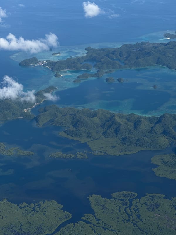 Aerial view captures mangrove islands near Del Carmen, Philippines