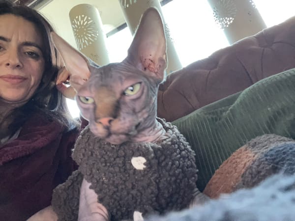 Woman documents morning routine with pets in Konz home