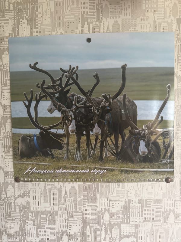 Life in a remote reindeer-keeping settlement