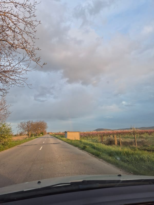 Spring blossoms line rural road in Mechkarevo, Bulgaria