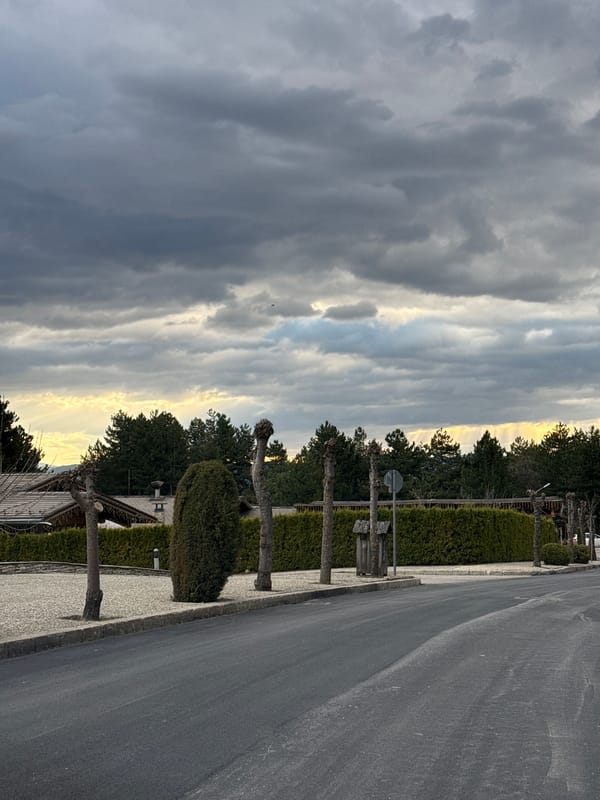Overcast morning captured on tree-lined street in Razlog, Bulgaria