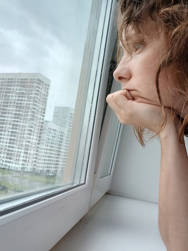 Window gazing with a cat, Yekaterinburg apartment complex