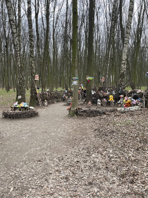 Decorated tree pathway documented in Vinnytsia park