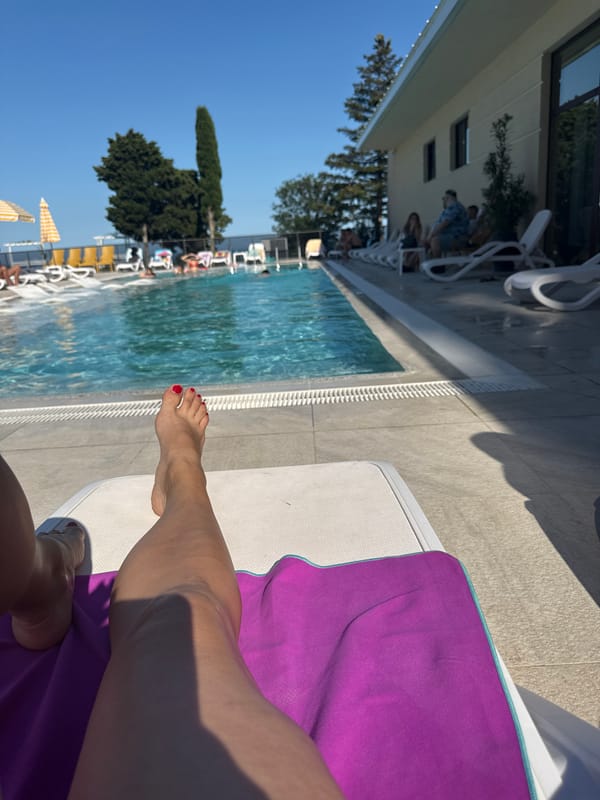 Pool day vibes, SPF in hand, chihuahua at home