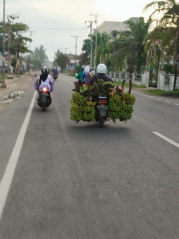 Motorcyclist transports large banana load through Lhokseumawe streets