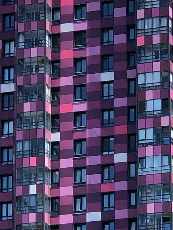 Colorful apartment facades and birch-lined paths in Saint Petersburg