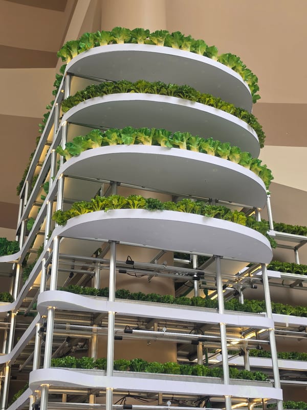 Bangkok mall hosts NEXTOPIA exhibition featuring eco-art installations
