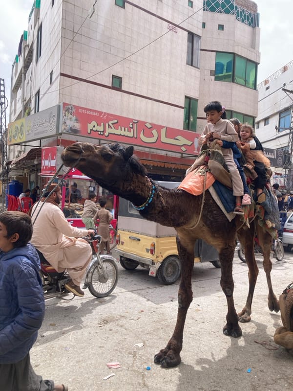 Sunday street life: camels, Ferris wheel enliven Quetta