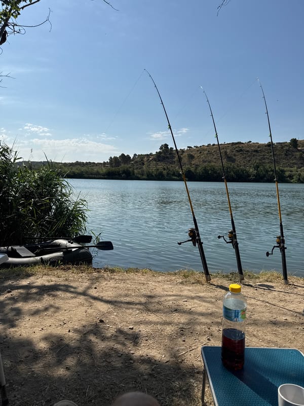 Morning fishing session documented at waterfront location