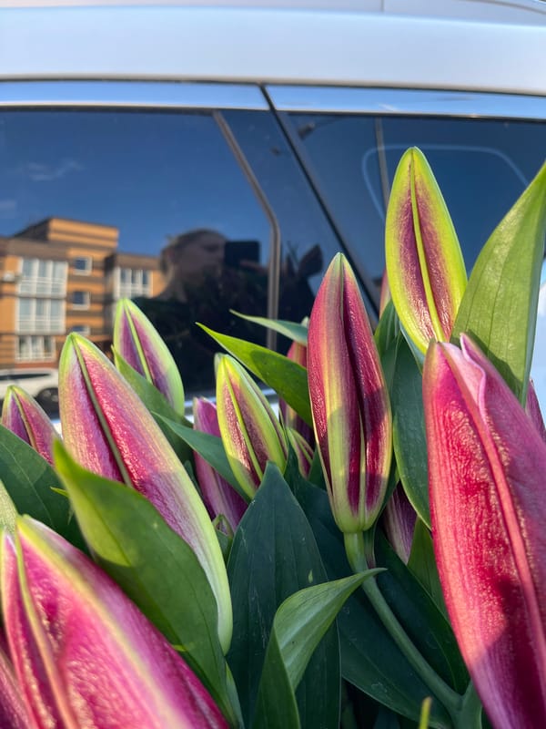 Lily bouquet documented in Kommunarka residential area