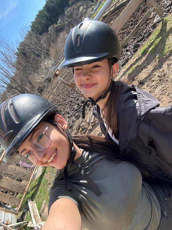 Equestrian activity observed at rural Bankya property with horses, dogs