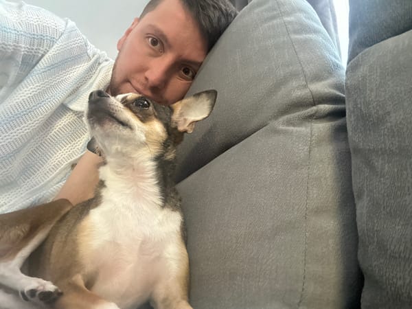 Couch selfies with a chihuahua in Mirny
