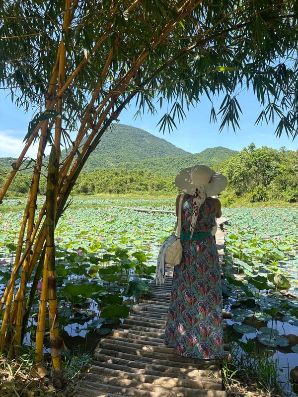 Lotus pond and mountain views at a Đà Nẵng garden