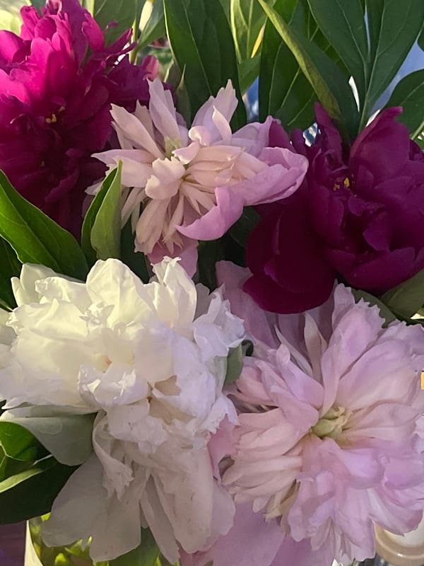 Peony bouquets and interior details from a Minsk evening