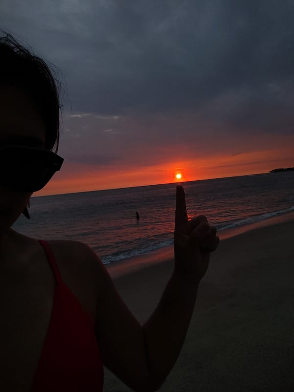 Sunset beach scene and grazing goats captured in Bocapán, Peru