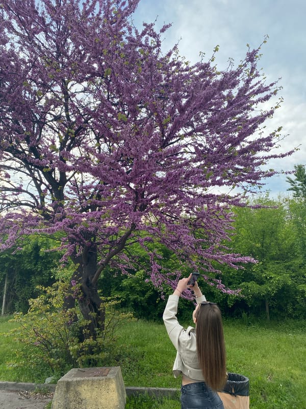 Spring blooms draw photographers to Stara Zagora lakefront park