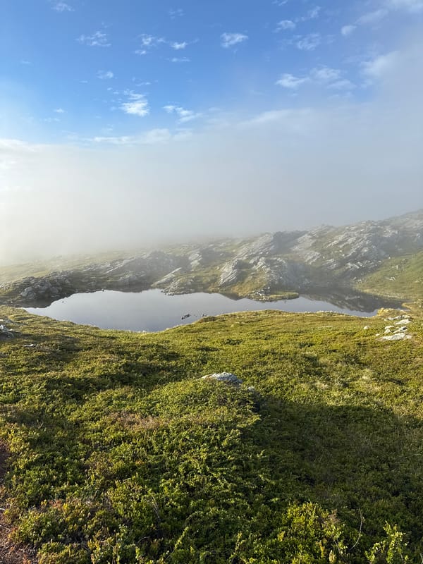 Still water and heathered ground in northern Norway's open landscape
