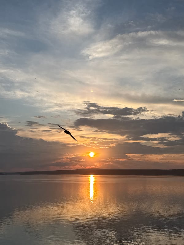 Sunset photography session at Votkinsk Reservoir, Russia
