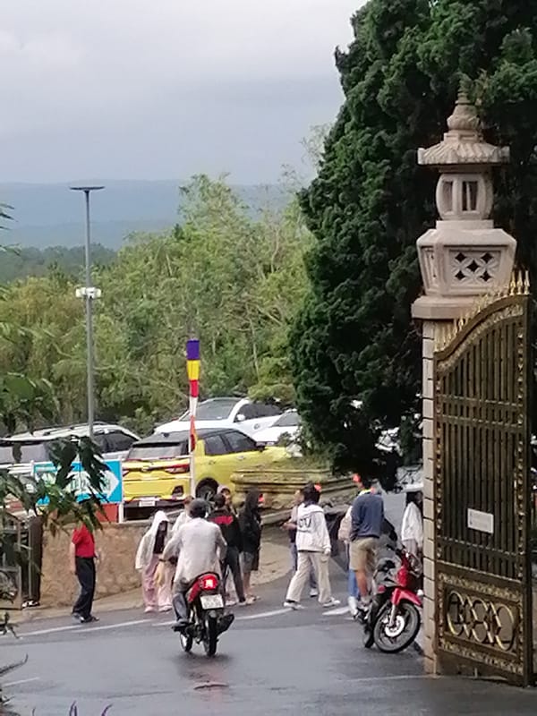 Tourists explore Da Lat gardens on rainy morning