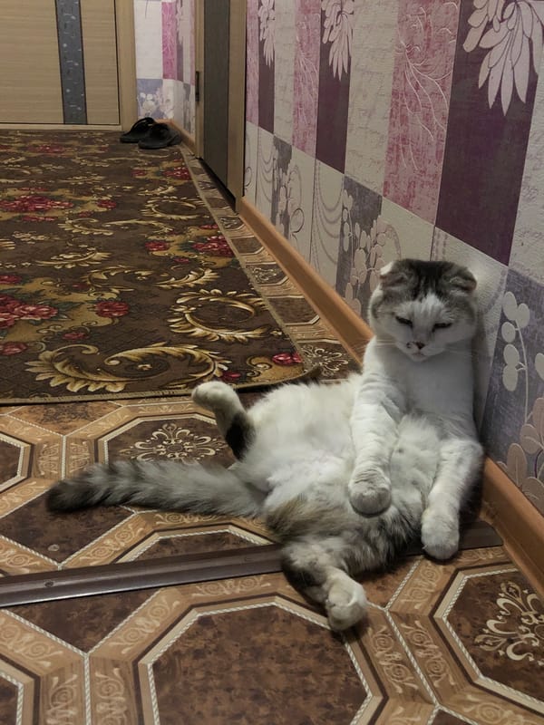 Woman documents playful selfie session in Noviy, Russia