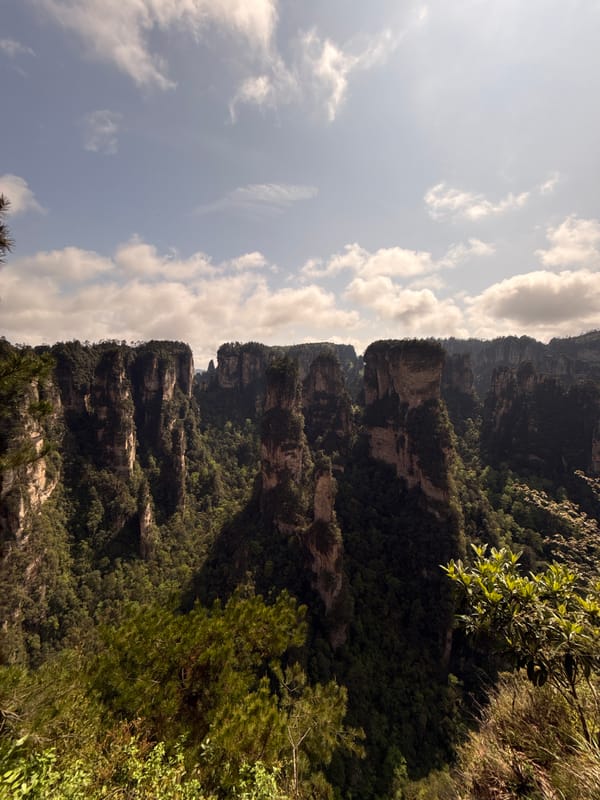 Morning views captured at Zhangjiajie National Forest Park