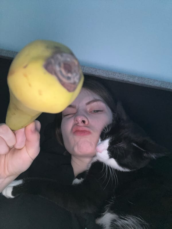 Evening at home with cat and homemade food