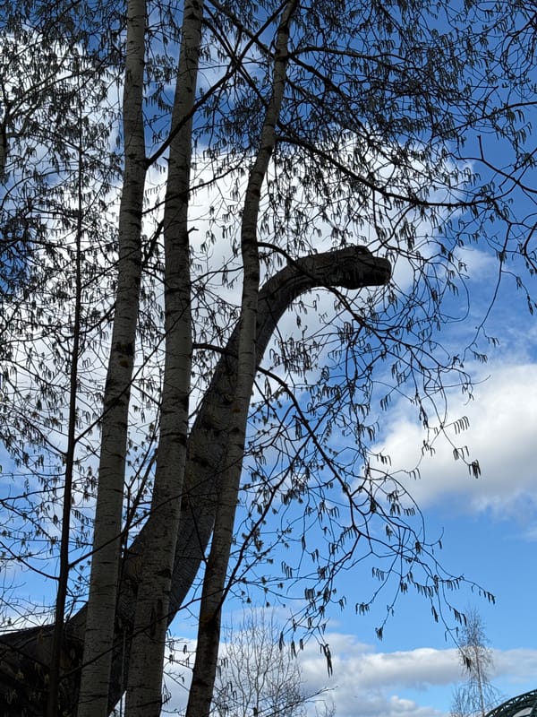 Families visit dinosaur park with animatronic exhibits in Izhevsk