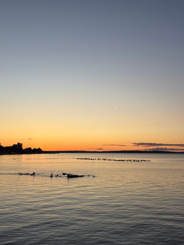 Sunset and still water along Lake Onega in Petrozavodsk