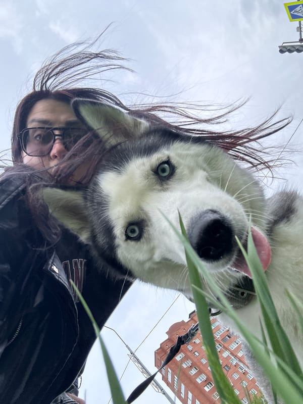Person and husky spotted in early morning urban setting
