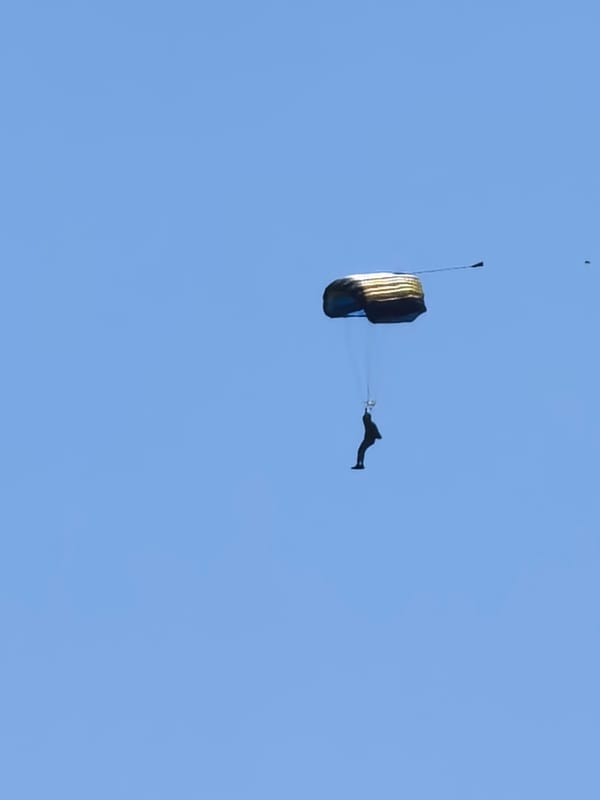 Morning parachuting and bee activity observed in Bulgarian town