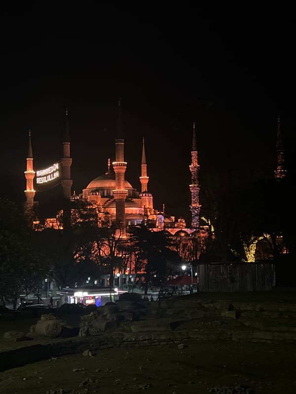 Evening life captured across Istanbul: mosques, street cats, restaurants