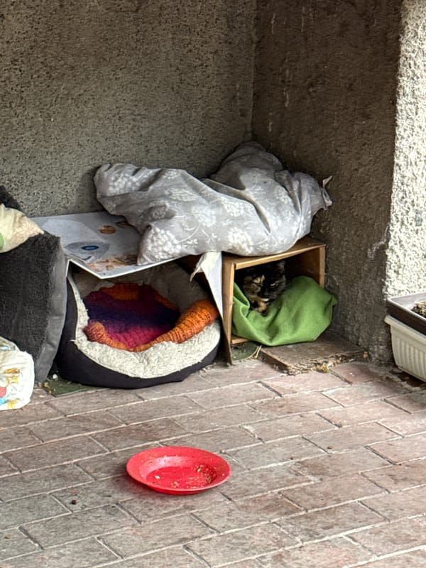 Makeshift cat shelter spotted in Plovdiv alcove